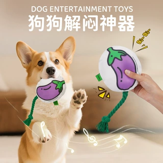 创意蔬菜系列狗狗布艺发声玩具自嗨解闷陪伴棉绳狗玩具跨境批发
