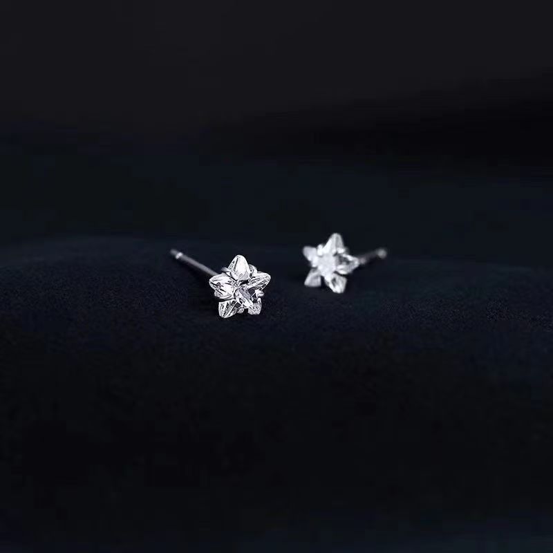 Star Zircon Earrings for Women, Exquisite and Compact Ins Accessible Luxury Niche Design, Simple and Versatile Elegant Earrings
