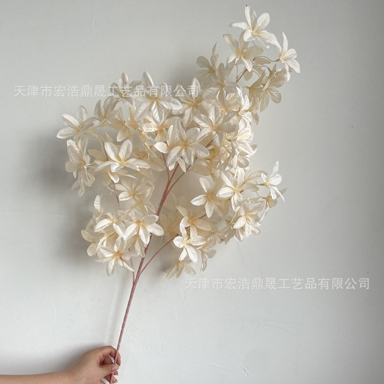 微信图片_202208191624362_副本