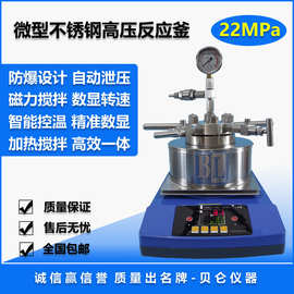 BLZN微型高压反应釜,高压防爆 模块加热 控温精准 加氢反应釜