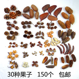 �ֹ�diy����30�N150����Ȼ��������ɹ��׃��@�h�����ϰ��Ĕz����