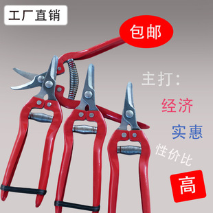 Fruit Picking Shears, Fruit Pruning Scissors, Citrus, Tomato, Grape Fruit Shears, Apple Shears with Curved Head, Branch Pruners
