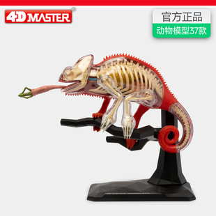 4D MASTER����ģ���t�W�̌W׃ɫ���������ƴ�b��ͯ��ߔ[��