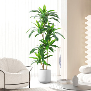 ���W�L���ͼپGֲ�͏d�b��F�����Է���٘���滨���l��c����