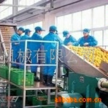 厂家供应橙子冲洗去皮榨汁生产线 全自动高速饮料果汁类生产线