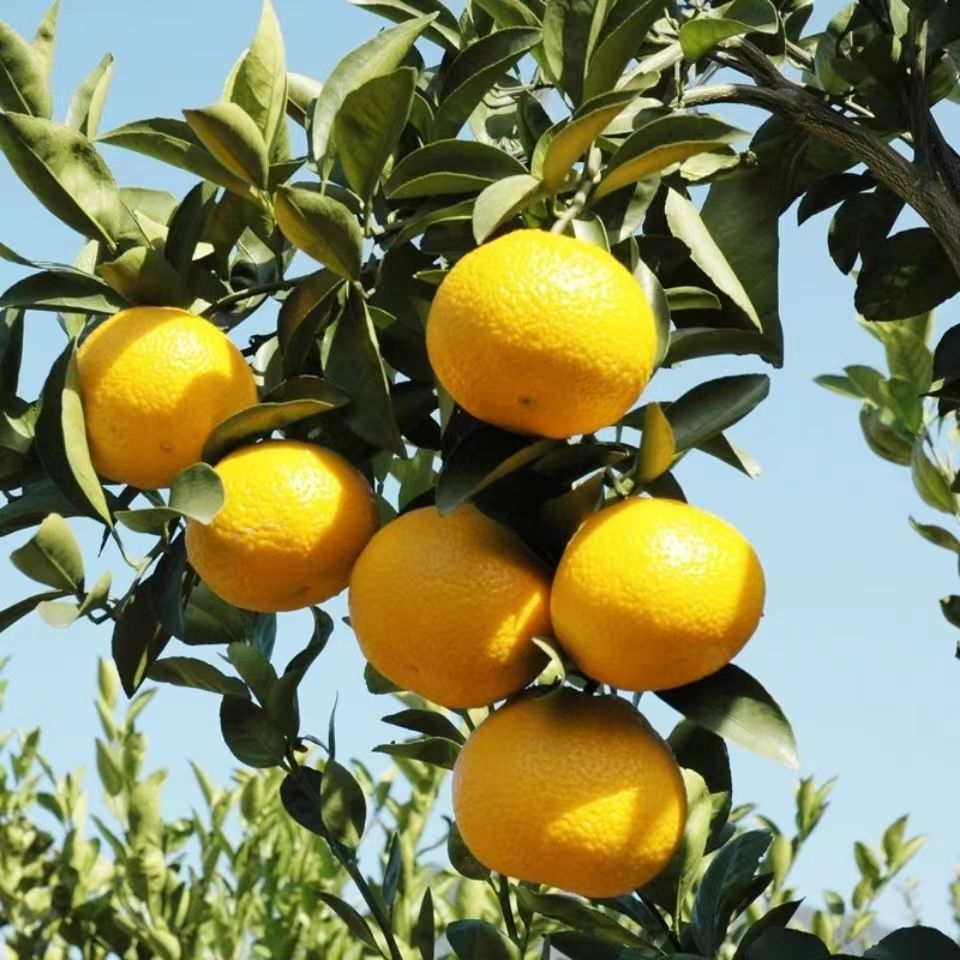 微信图片_20231222212945