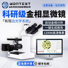 4XC金相显微镜三目倒置显微镜球化率珠光体铁素体热处理金相分析