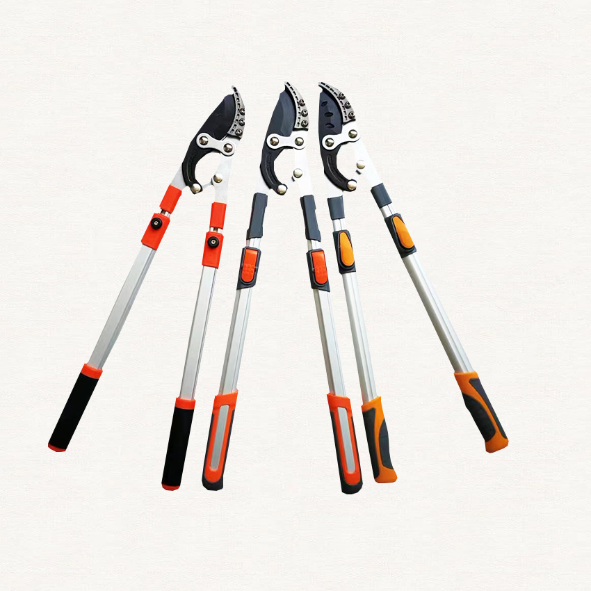 修枝剪园艺剪刀粗枝剪树枝果树剪刀大力省力园林强力剪可伸缩