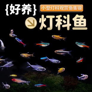 ��녽�z�~����ԭ���~���Ӝ���ˮ�~�͜غ��B�׻���~С�͟����~