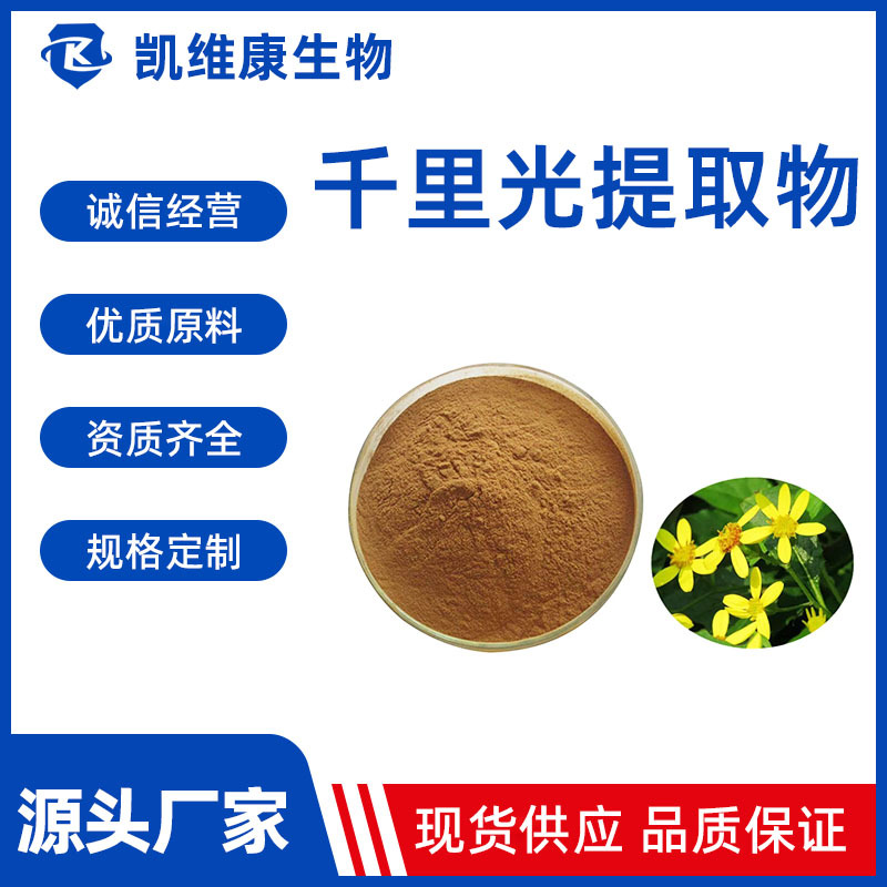 千里光提取物30:1 比例萃取水溶性千里光粉 多规格 现货供应