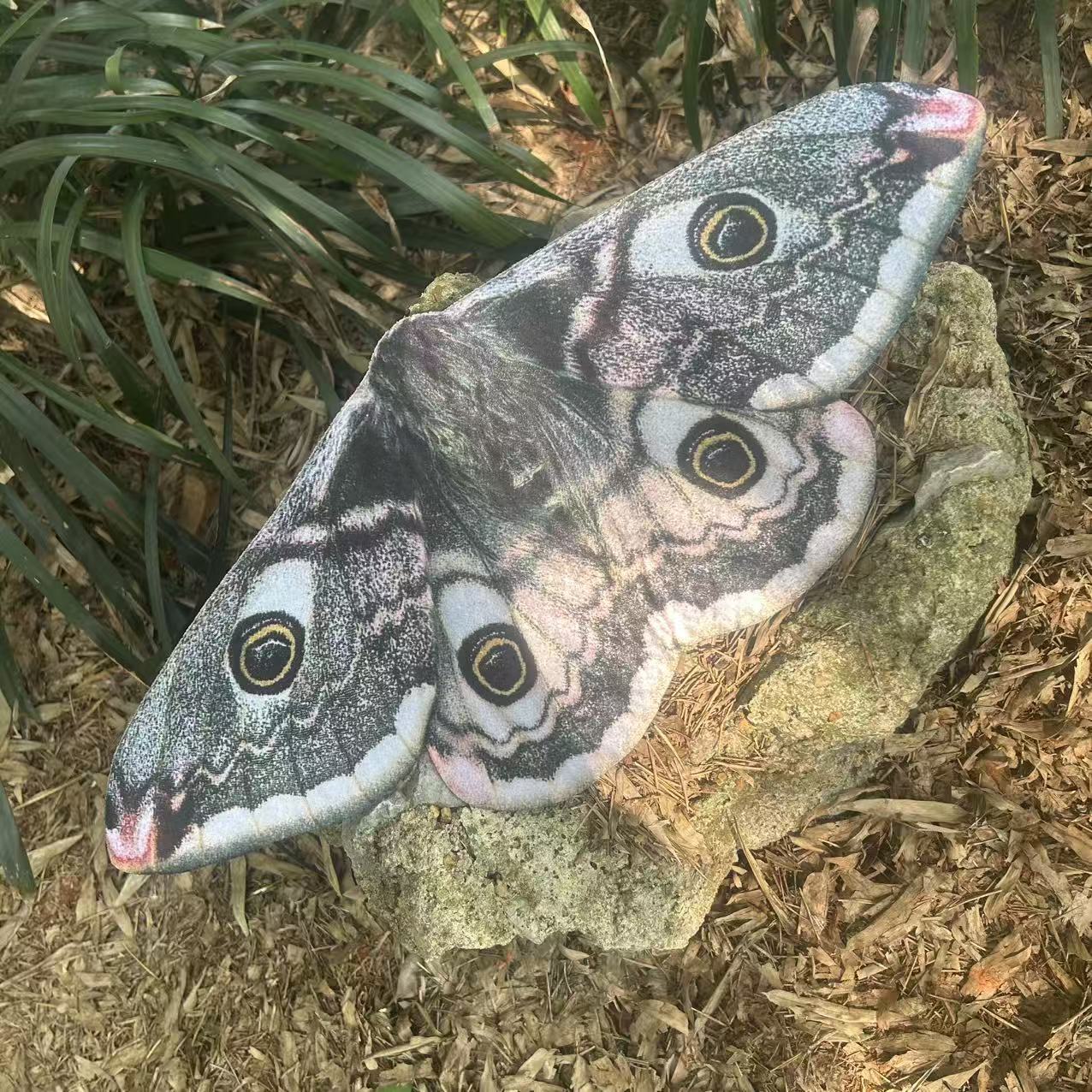 Cross-Border Factory Sales of Simulated Moth Non-Woven Wings Pendants Called Holiday Dress-Up Children's Party Stage Props Decoration