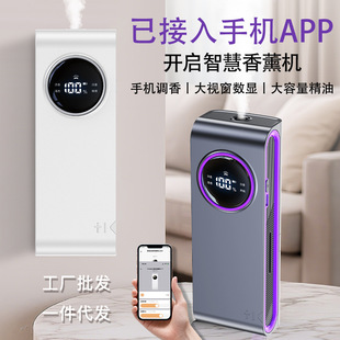 �ѽ����֙CAPP������Ѭ�C�ԄӇ��F��ՙC����������ζ�՚������