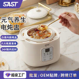 SAST电炖盅 隔水炖家用婴儿宝宝煮粥煲汤辅食燕窝 陶瓷小型电炖锅