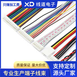 工厂PH2.0/2.542P3P4P5P端子线彩排线红黑线束加工电缆连接器接头