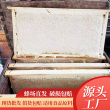 成熟新鲜荆条蜜蜂蜜批发整装天然原蜜源头厂家直发农家自产荆条蜜
