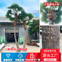 仿真椰棕树景观工程绿化装饰大型摆件棕椰家居大王椰子仿真海藻树