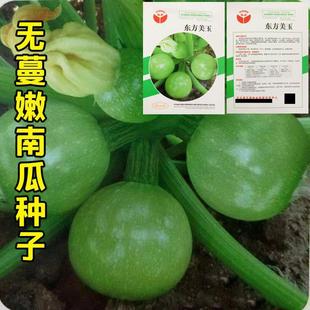 �o�����ϹϷN������o�ٶ���С���С�Ϲ��r��ͥԺ�����߲˷N��