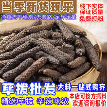 荜拨香料批发调料荜茇碧波荜拨碧波干货火锅卤料批发荜拨商用批发