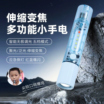 Flashlight for Home Use, UV fənərlər