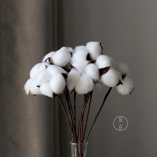 Natural Dried Flower Cotton Handmade Single-Head Cotton Christmas Decoration Yunnan Kapok Bouquet Material Yunnan Manufacturer