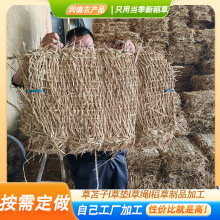 �Ӻ񵾲ݲ݉|�ӷ����݉|�׽���h����Ѵ�ݴ���������݉|�����o��