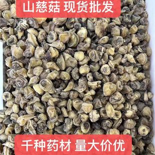 ɽ�ȹ��F؛���l��ȹ� ë�ȹ� ������ ɽ�ȹ�Ƭ �����Ĕz����r