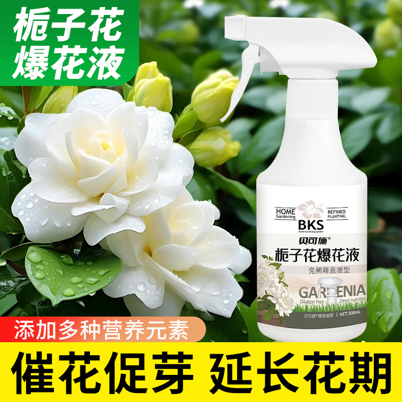 贝可施栀子花专用快速爆花液开花促花防黄叶浓缩营养液肥花卉植物