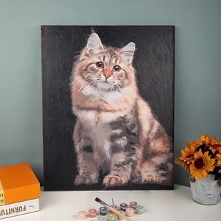 �����ͮ�diy����؈����Ƭ��Ƹ߼����ֹ���ɫ�Y��≺��ϩ�b�