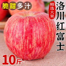 陕西洛川红富士苹果10斤整箱应当季新鲜水果现摘脆甜糖心苹果包邮