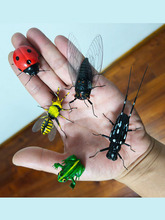 昆虫子摆件青蛙七星瓢虫标本蜜蜂模型蝉动物工艺装饰拍摄道具