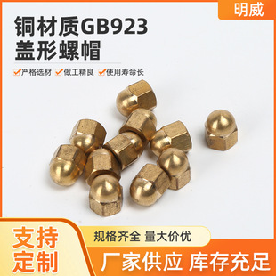 �S�~�w����ĸ��ñ�ݽzGB923�����w���ݽzñ�bA���^�ڳ��wñ