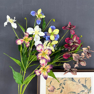 ��Ʒ���Sβ�m���滨�Ҿә����b��ָ��Sβ�m�����z�羳؛Դ