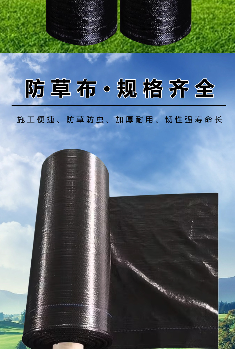 详情2