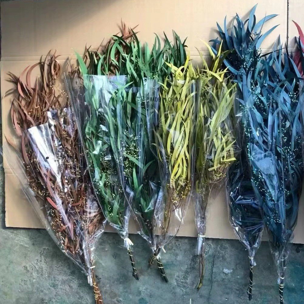 기장 과일 잎 오렌지