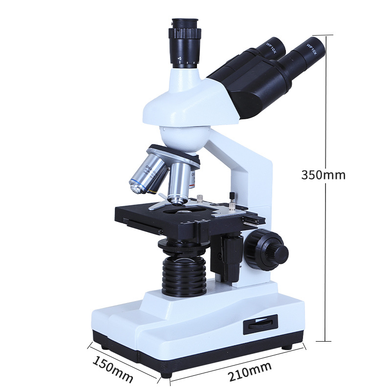 Delang Binocular Microscopio biológico Hogar HD Acuicultura Estudiantes de secundaria Ver Bacterias Laboratorio Profesional con pantalla