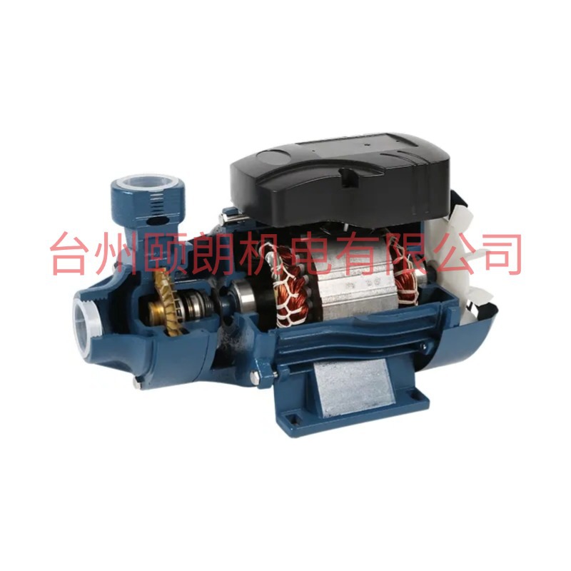QB vórtice bomba QB60/70/80 bomba de vórtice de agua clara AC220V/110V/127V panel solar DC12V24V