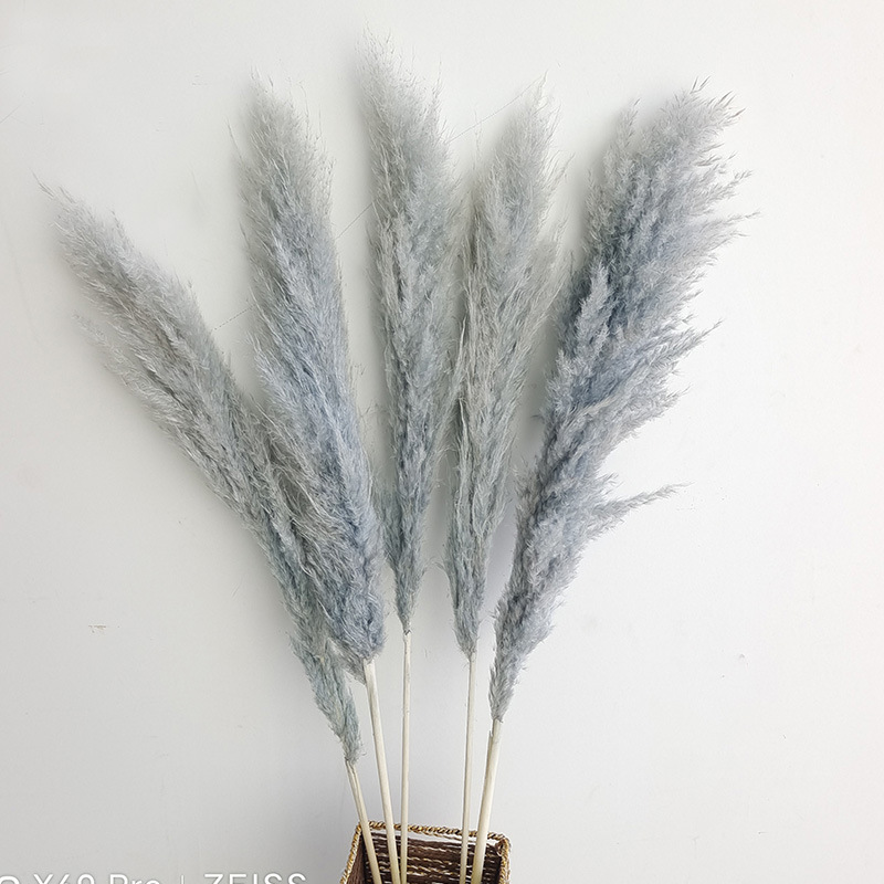 (13)5 꽃 스파이크 70-80cm 전체 길이 약 140cm