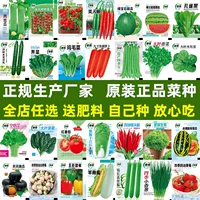 Полный набор семян овощей, семена овощей из куриного пера, семена небольшого рапса, маленькая капуста, четырехсезонное посадка в горшках, многолетник без рамки.