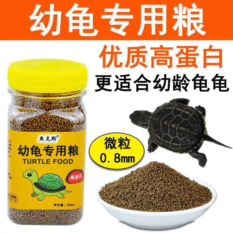 Turtle turtle grain special grain seedlings open grain, small turtle turtle turtles Brazilian turtle turtle little turtle feed universal