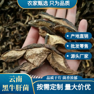 ��Ϻ�ţ�ξ����l���]Ұ�����Ҝ������˹����x��Ƭ��؛ԭ�a��ֱ�l