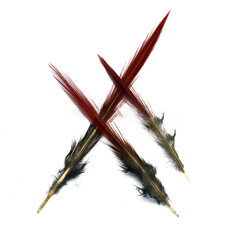 9074308828_124044218