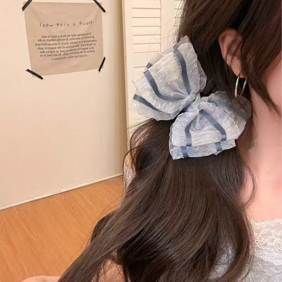 Grote haarklemmen voor dik haar antislip alligator haarclips_voghion.com