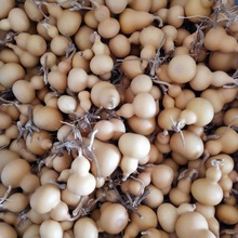 �큆�����J��������Ұ�����ٺ��ֱP�ĳǷNֲ�ǶС���J���J���