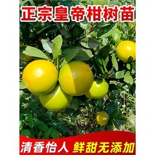 ɳ�ǽۻʵ۸̼޽Ә������Ե���ͥԺ�ϱ����Nֲ����ɰ�����ӹ�����