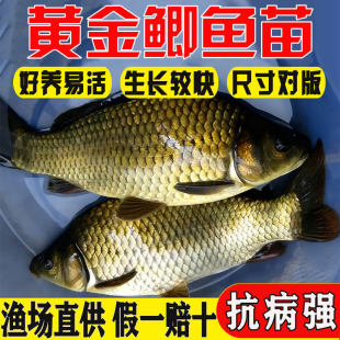 �a�~�絭ˮ�Bֳʳ���ش��п���̖�S���a��ˮ�������a�~���~���~��