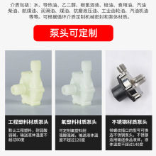 MP÷|͸goй©MP΢ѭh