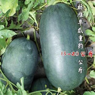 �o�����ϷN�Ӻ�Ƥ�o��������N��Ƥ������o�ѹϿ����͸ߜ�