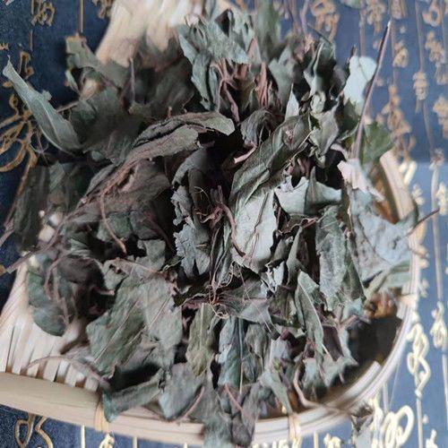 Ai Di Cha Dried Herb 1000g Ardisia japonica Whole Herb for Traditional Decoctions key features