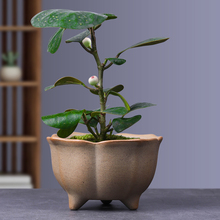 С�����������k�����҃���ʽ�U��͏d�Gֲ����΢�辰��С�����մ�