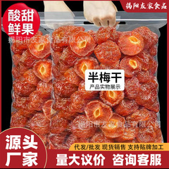 【日替わり特価】半梅・半干し梅・甘酸っぱい梅肉・砂糖漬け・ドライフルーツ・スナック・梅・半干し梅